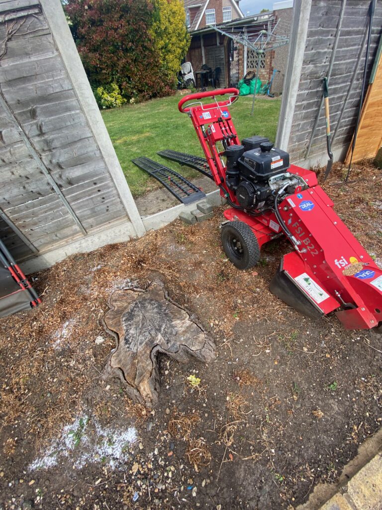 Stump grinding Maidstone, kent