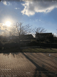 Cherry tree pruning