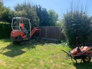 Bamboo removal in kent