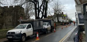 choosing the right tree surgeon