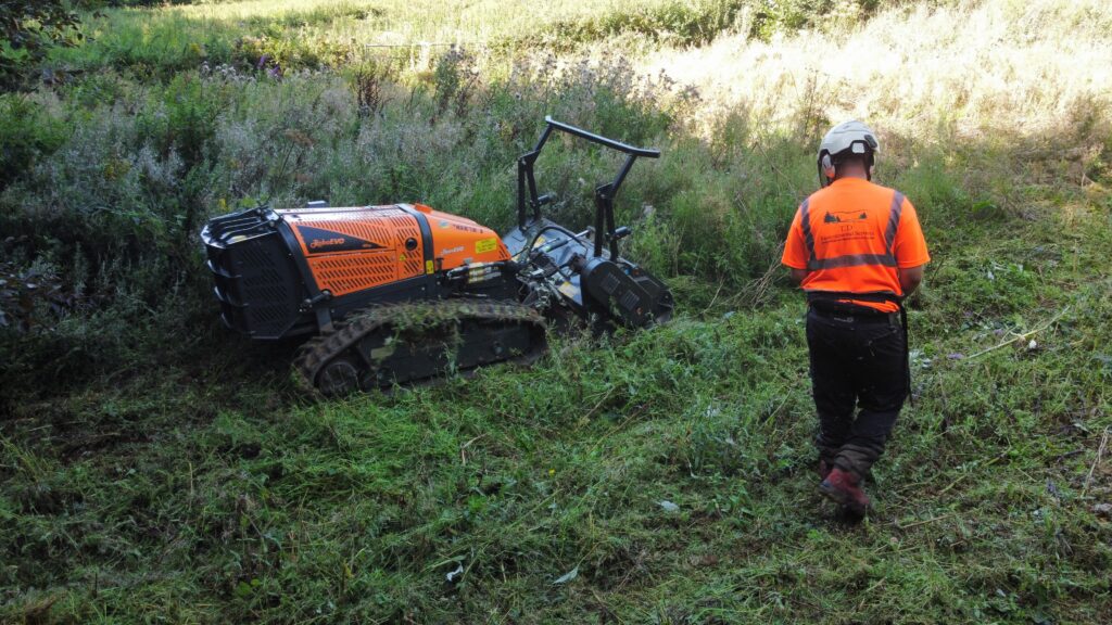 Vegetation clearance Maidstone