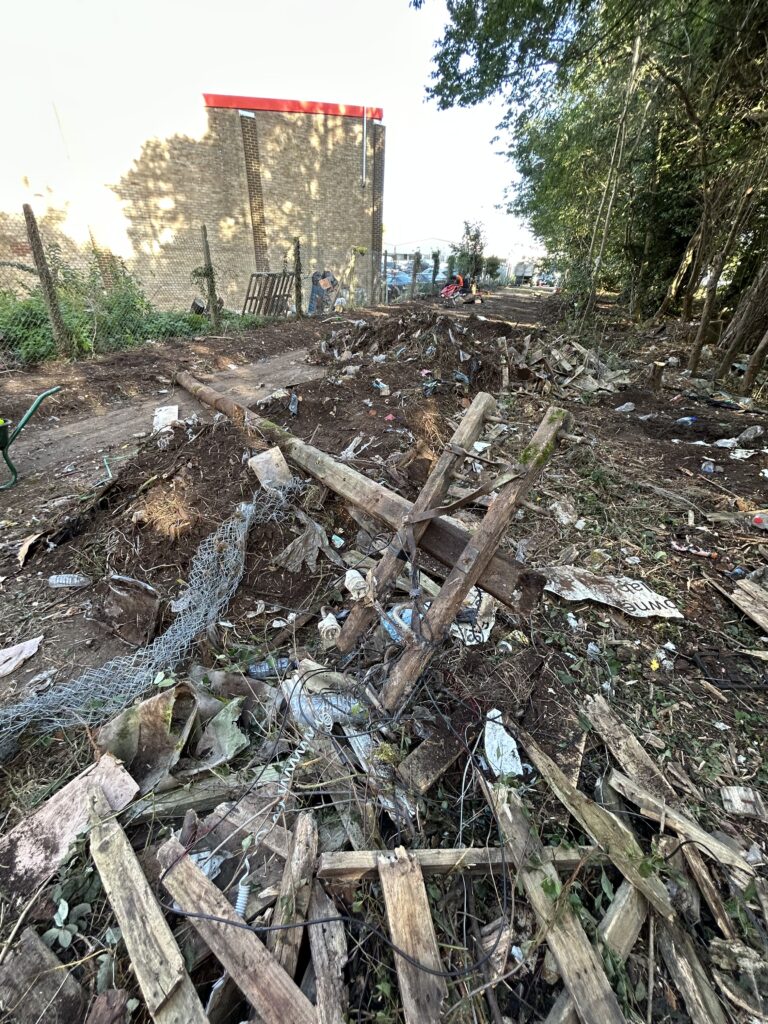 During land clearance Kent