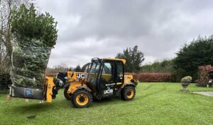 Instant hedge planting Rochester