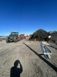 Tree felling Sheerness Kent