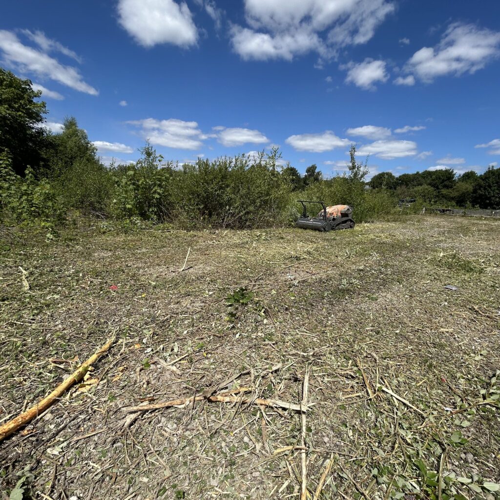 Vegetation clearance ashford